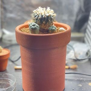 Meet your Posher, Jacob